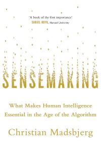 Image of Sensemaking